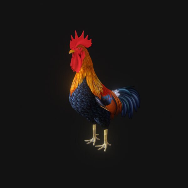 Rooster