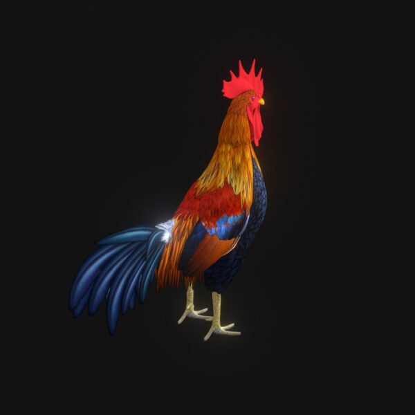 Rooster