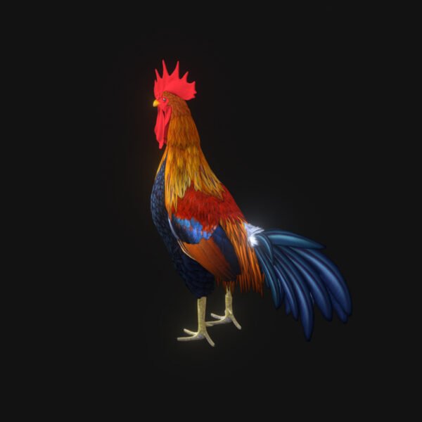 Rooster