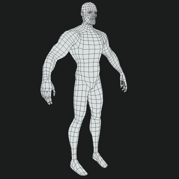 Stylized Superhero Anatomy 3D Model