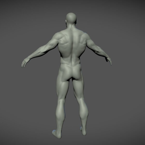 Superhero Basemesh 3D Model