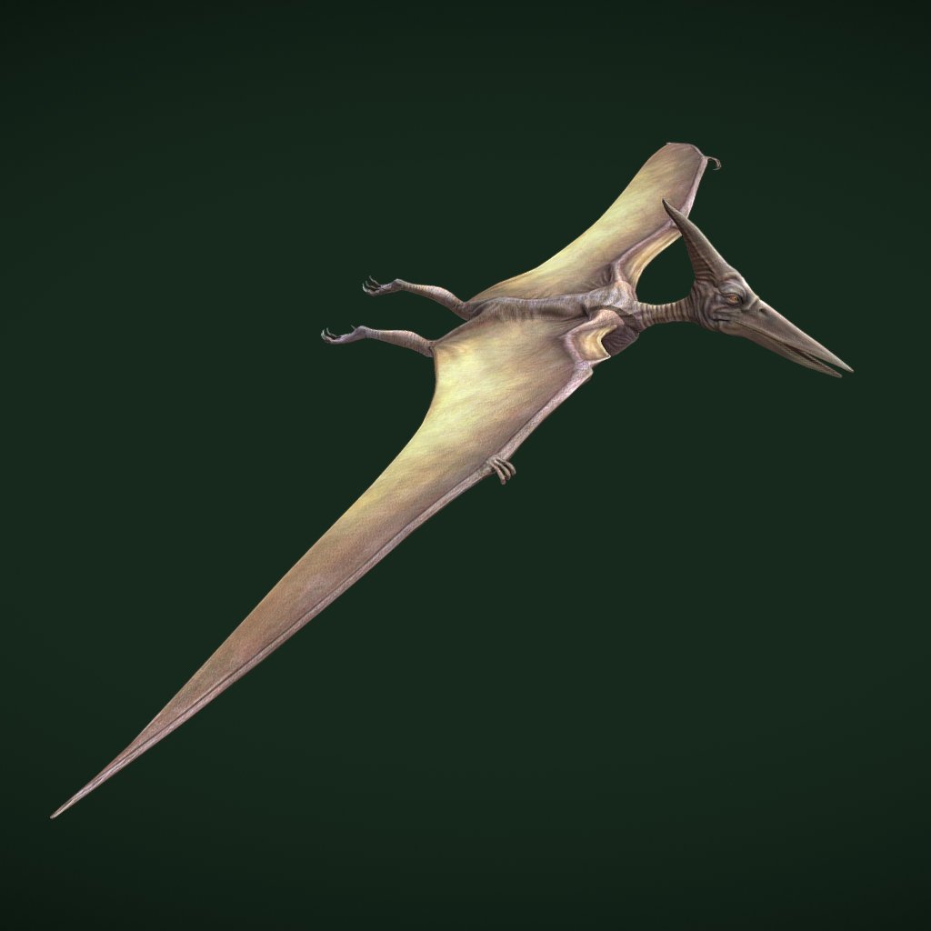 Animated Flying Pteradactal Dinosaur 3D Model