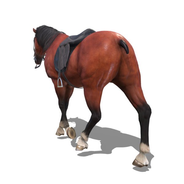 Horse Free 3D Models