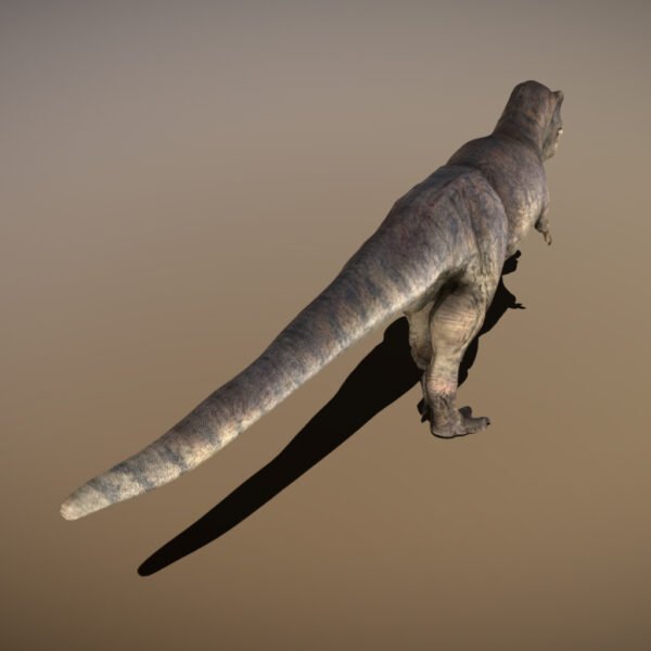 Scotty the Rex 3D Model