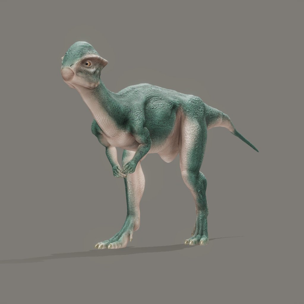 Stegoceras Validum 3D Model